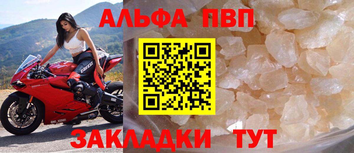 A PVP СК Губкинский