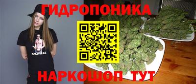 Альфа ПВП Можайск