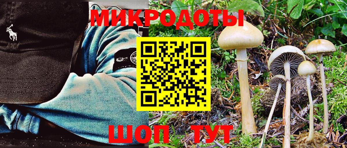 Псилоцибиновые грибы Cubensis  Галлюциногенные грибы мицелий  Губкинский  Вход с VPN 