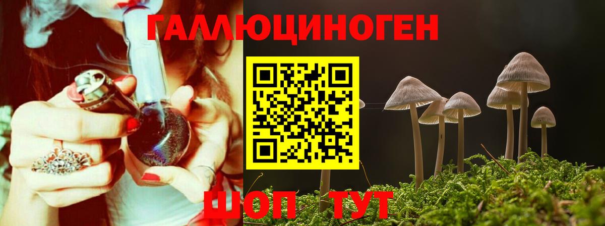Псилоцибиновые грибы Magic Shrooms Губкинский